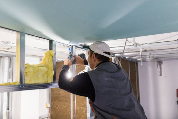 Best Insulation Installation Services in Kearney, MO