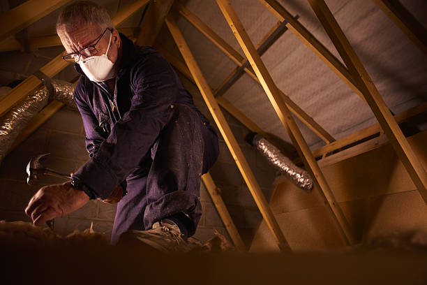 Best Specialty Insulation in Kearney, MO